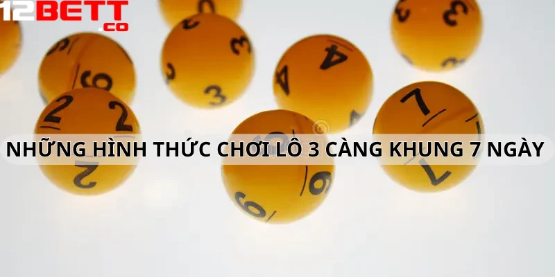 Những hình thức chơi lô 3 càng khung 7 ngày Những hình thức chơi lô 3 càng khung 7 ngày