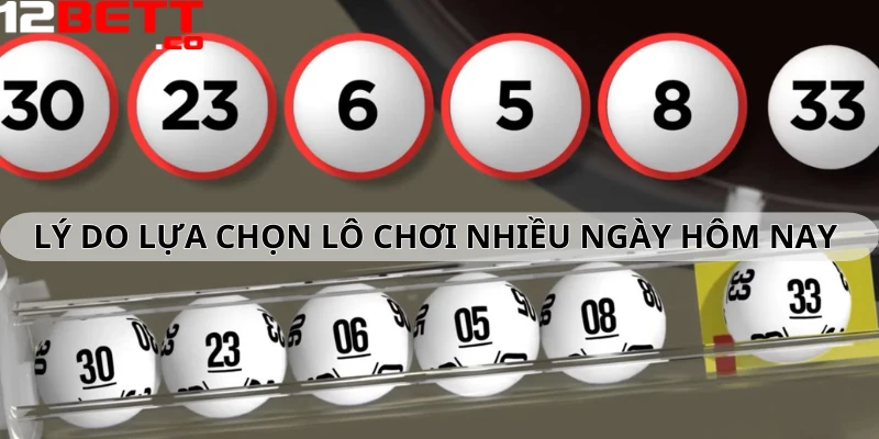 Những lý do lựa chọn lô chơi nhiều ngày hôm nay Những lý do lựa chọn lô chơi nhiều ngày hôm nay